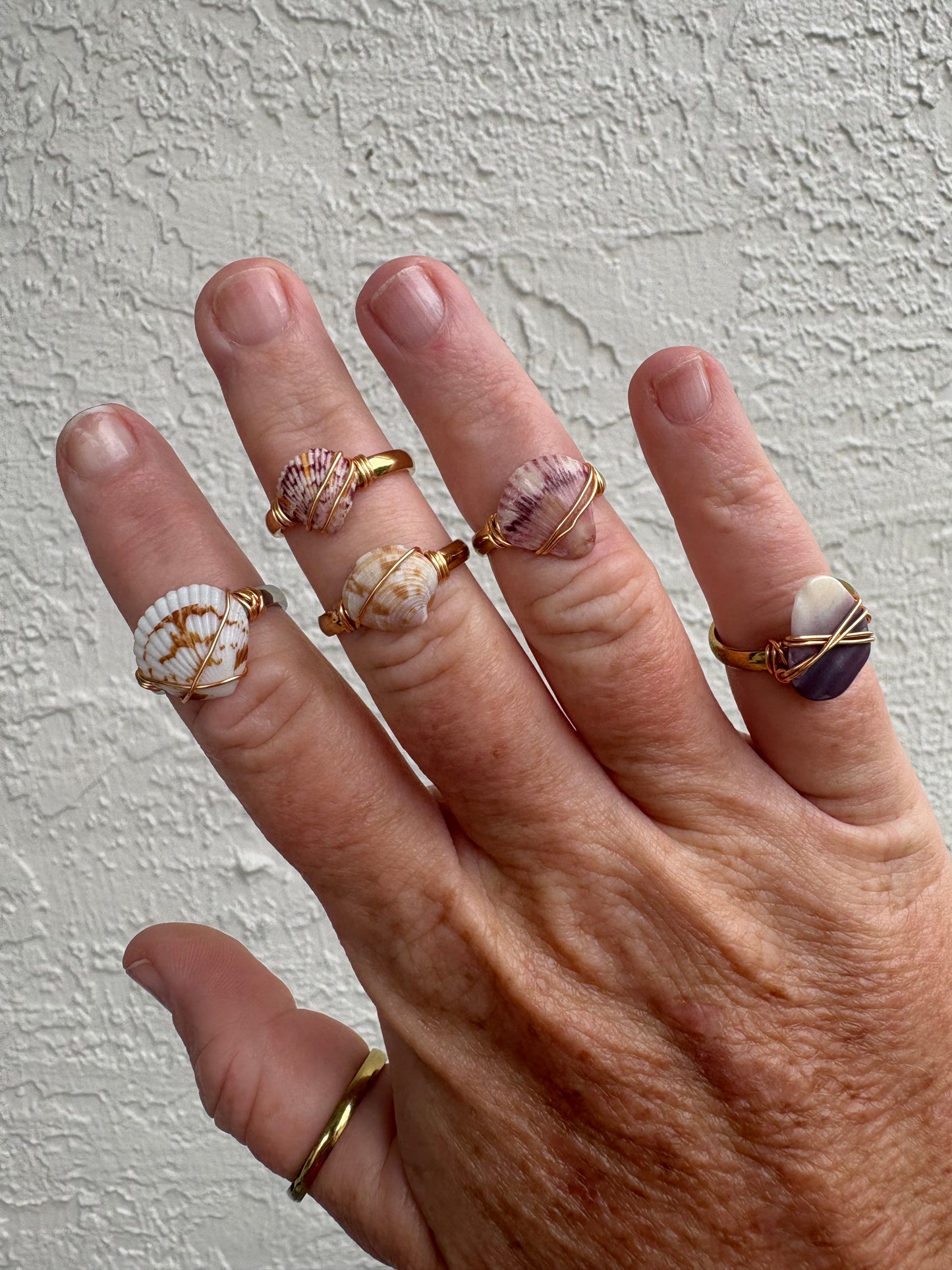 Long Island Wampum Shell Ring – 18k Gold PVD Stainless Steel (Size 6.5)
