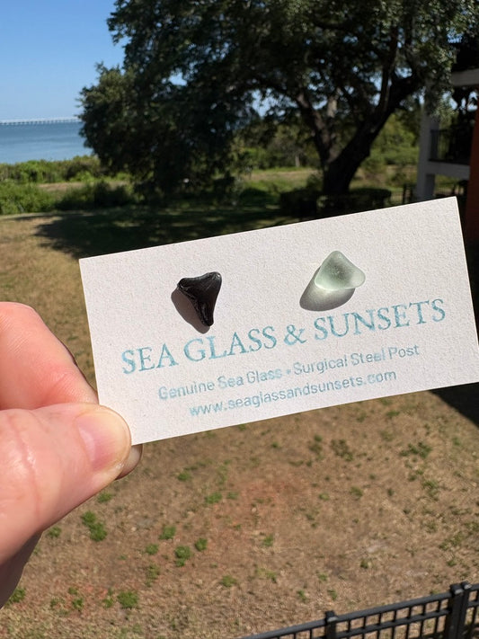 Shark Tooth & Sea Foam Sea Glass Stud Earrings – Surgical Steel Posts