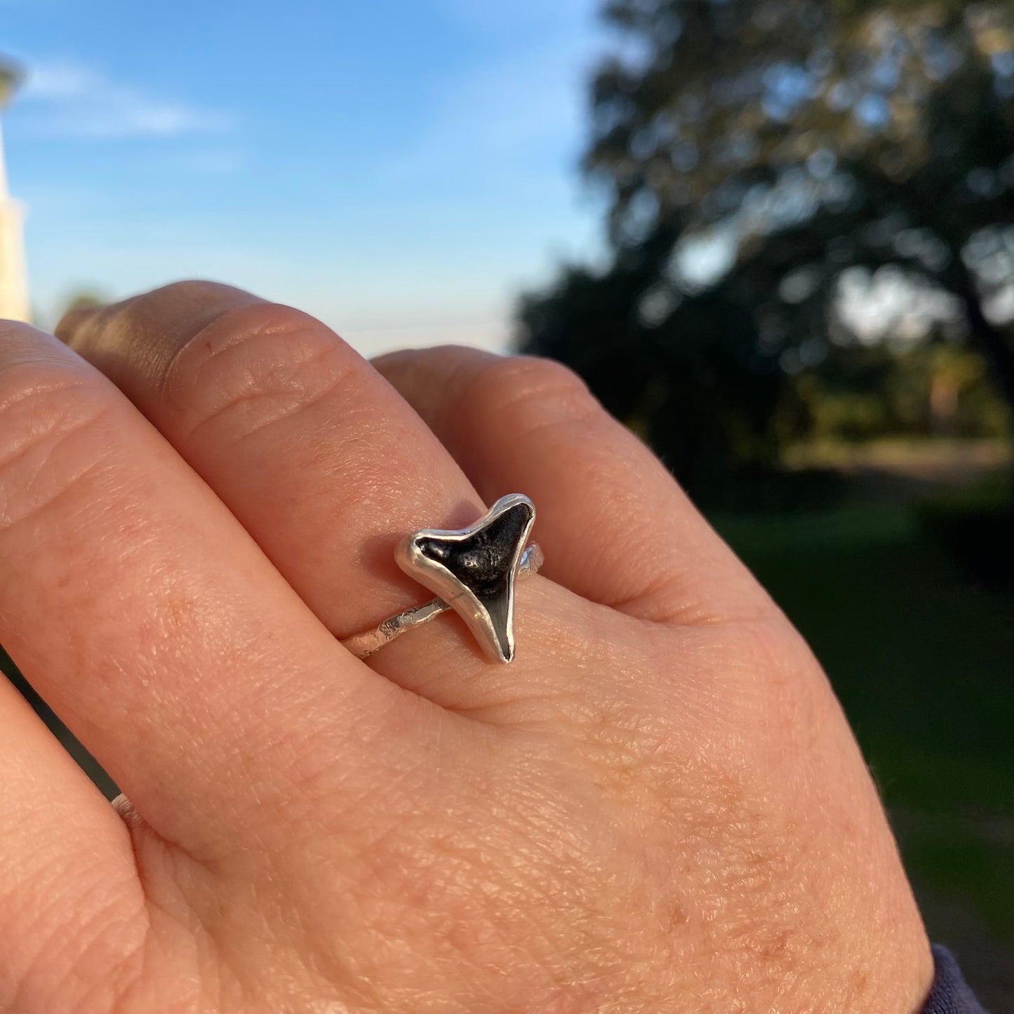 Sharks Tooth Bezel Ring – Sterling Silver (Size 7.5)