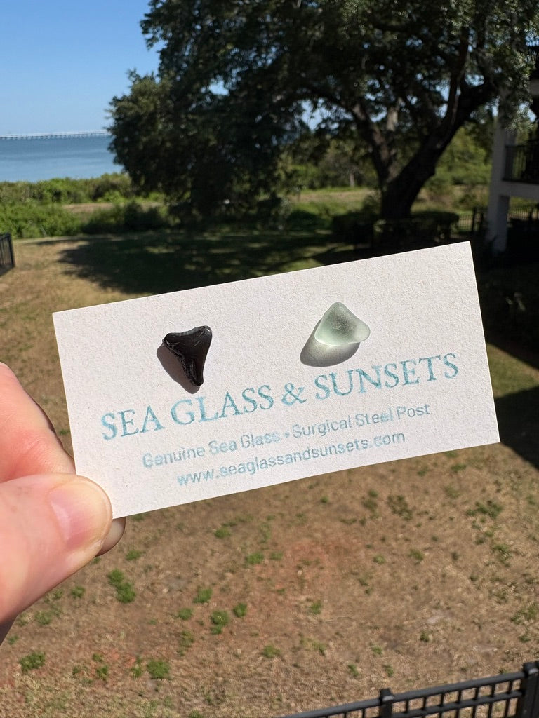 Shark Tooth & Sea Foam Sea Glass Stud Earrings – Surgical Steel Posts