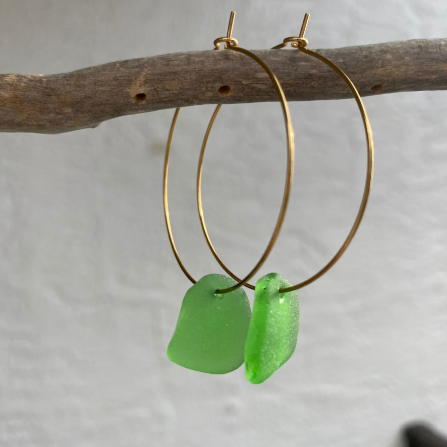Kelly Green Sea Glass Earrings on Gold PVD Thin Hoops 5