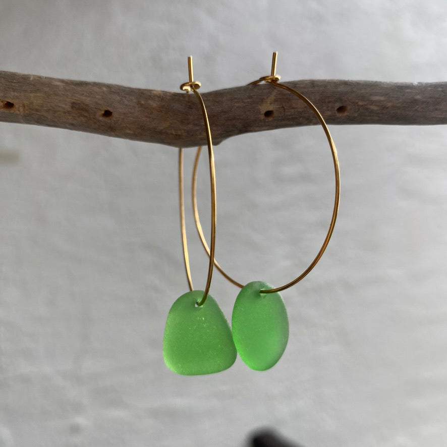 Kelly Green Sea Glass Earrings on Gold PVD Thin Hoops