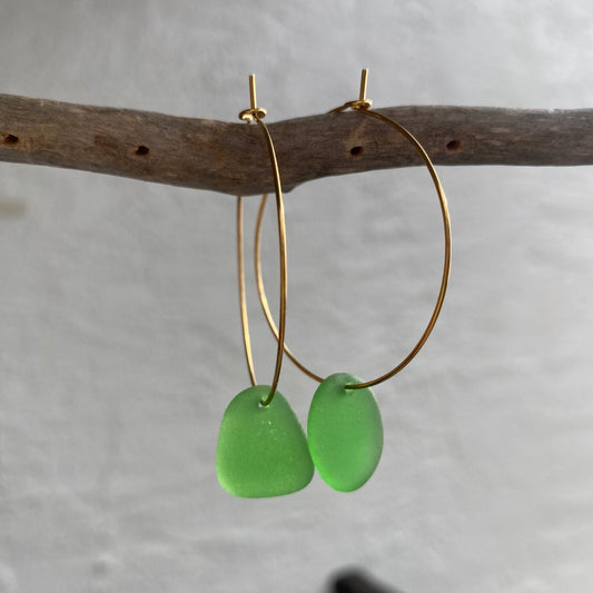 Kelly Green Sea Glass Earrings on Gold PVD Thin Hoops