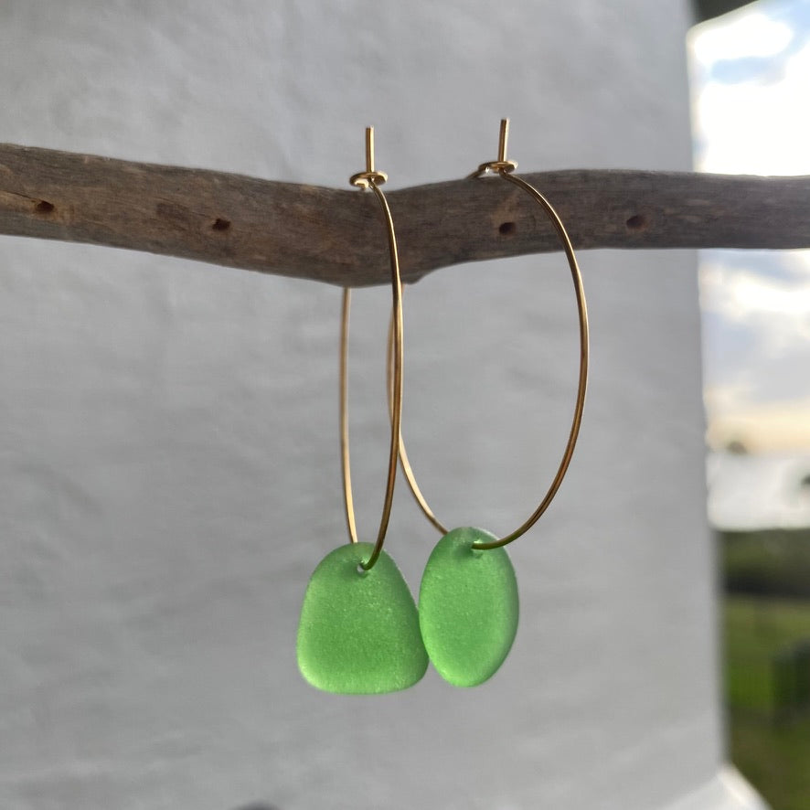 Kelly Green Sea Glass Earrings on Gold PVD Thin Hoops