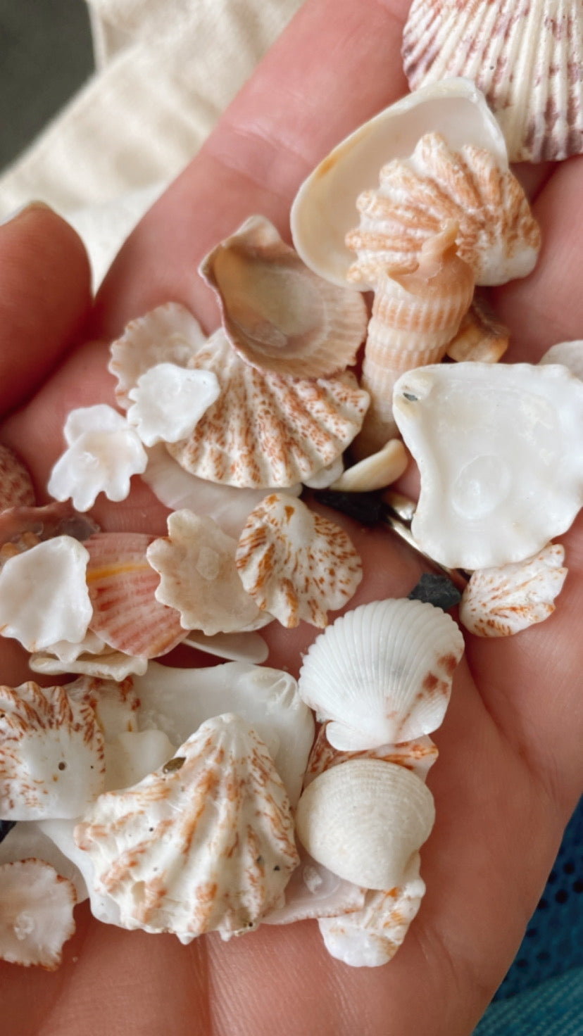 Clearwater Beach Sand Stud Earrings | Gold-Filled