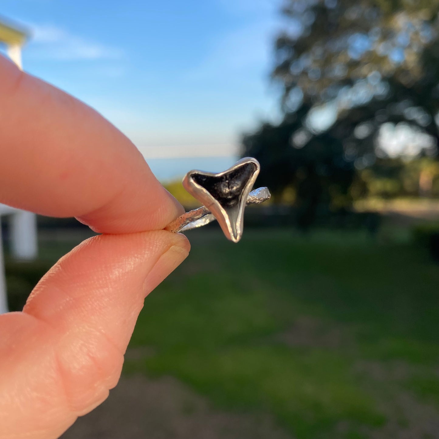 Sharks Tooth Bezel Ring – Sterling Silver (Size 7.5)