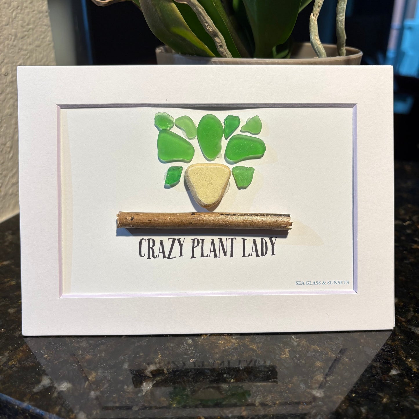 Crazy Plant Lady – Genuine Sea Glass Art