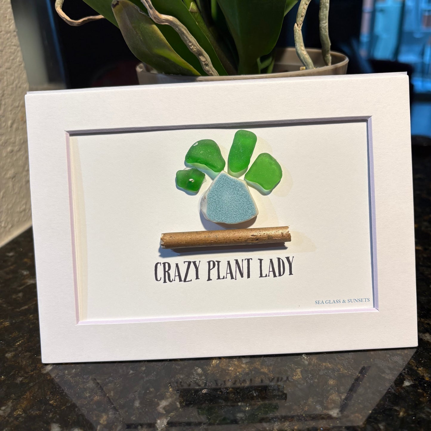 Crazy Plant Lady – Genuine Sea Glass Art
