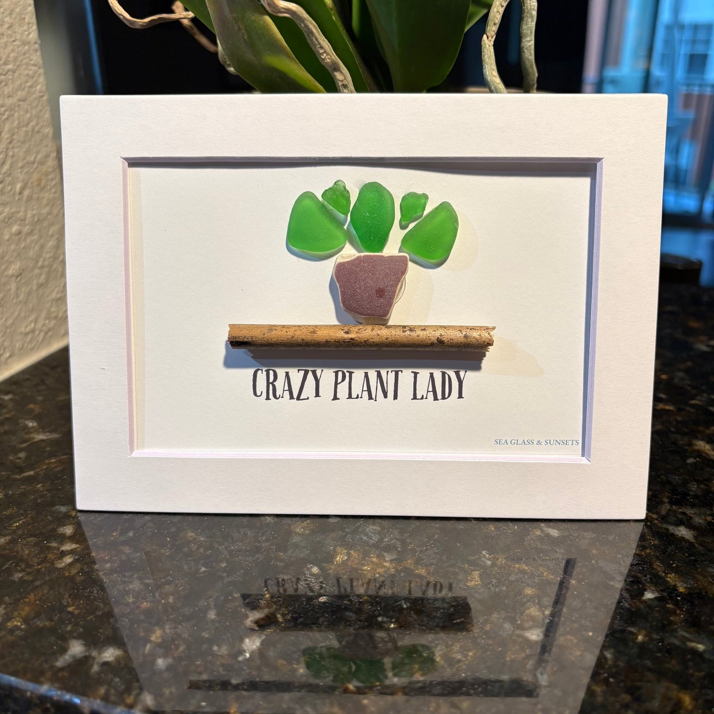 Crazy Plant Lady – Genuine Sea Glass Art