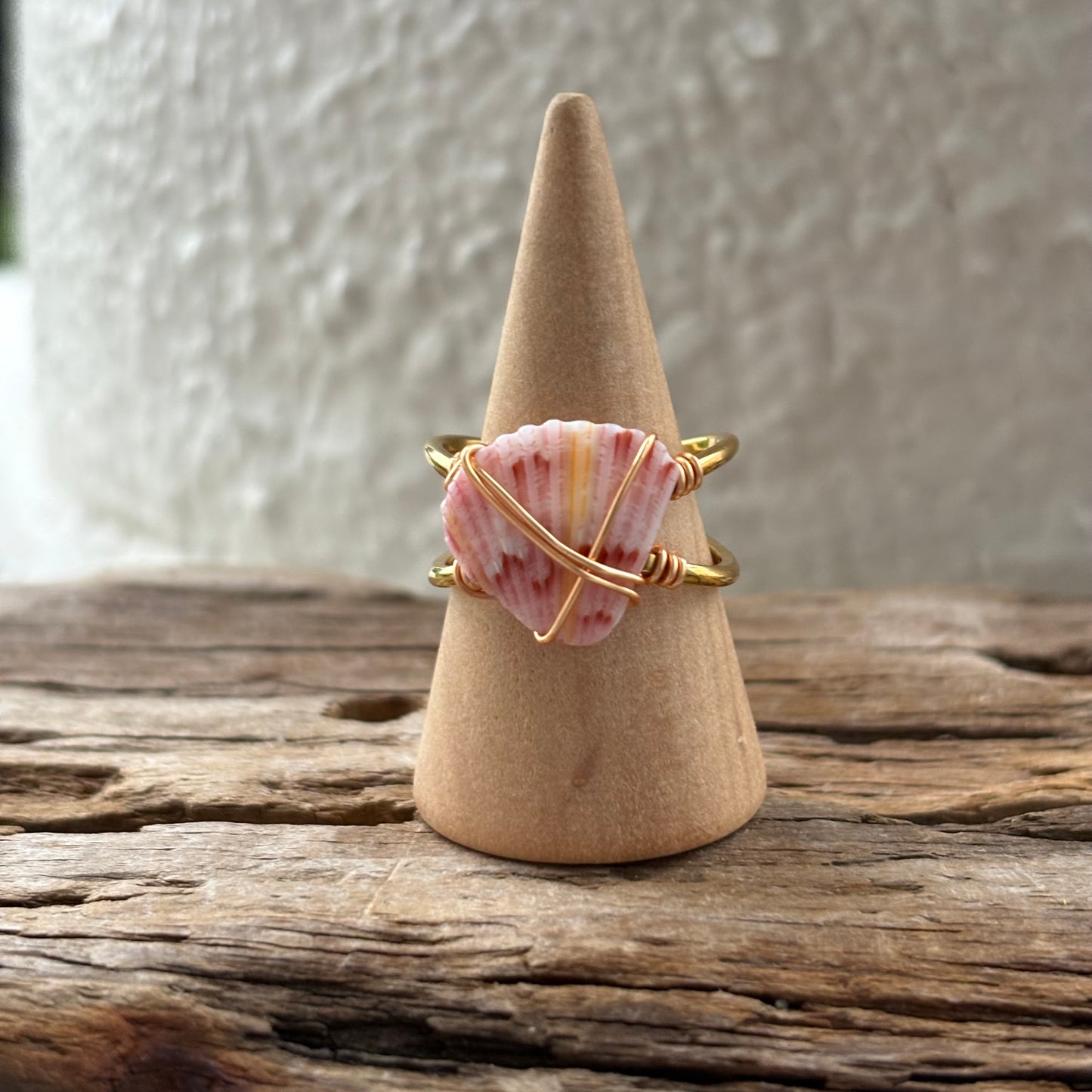 Florida Scallop Shell Ring – 18k Gold PVD Stainless Steel (Size 7)