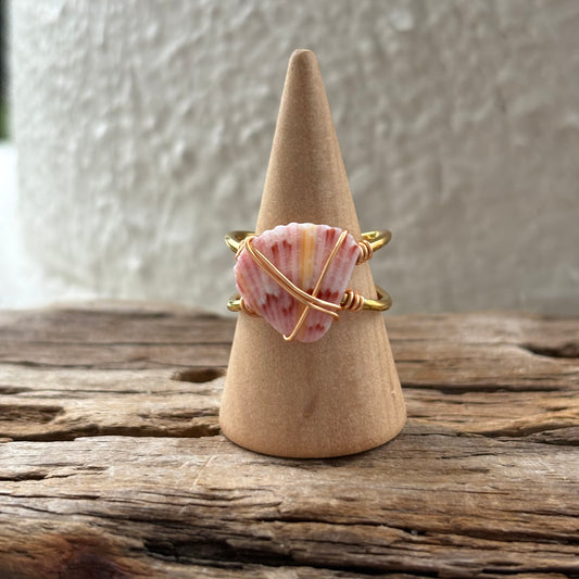 Florida Scallop Shell Ring – 18k Gold PVD Stainless Steel (Size 7)