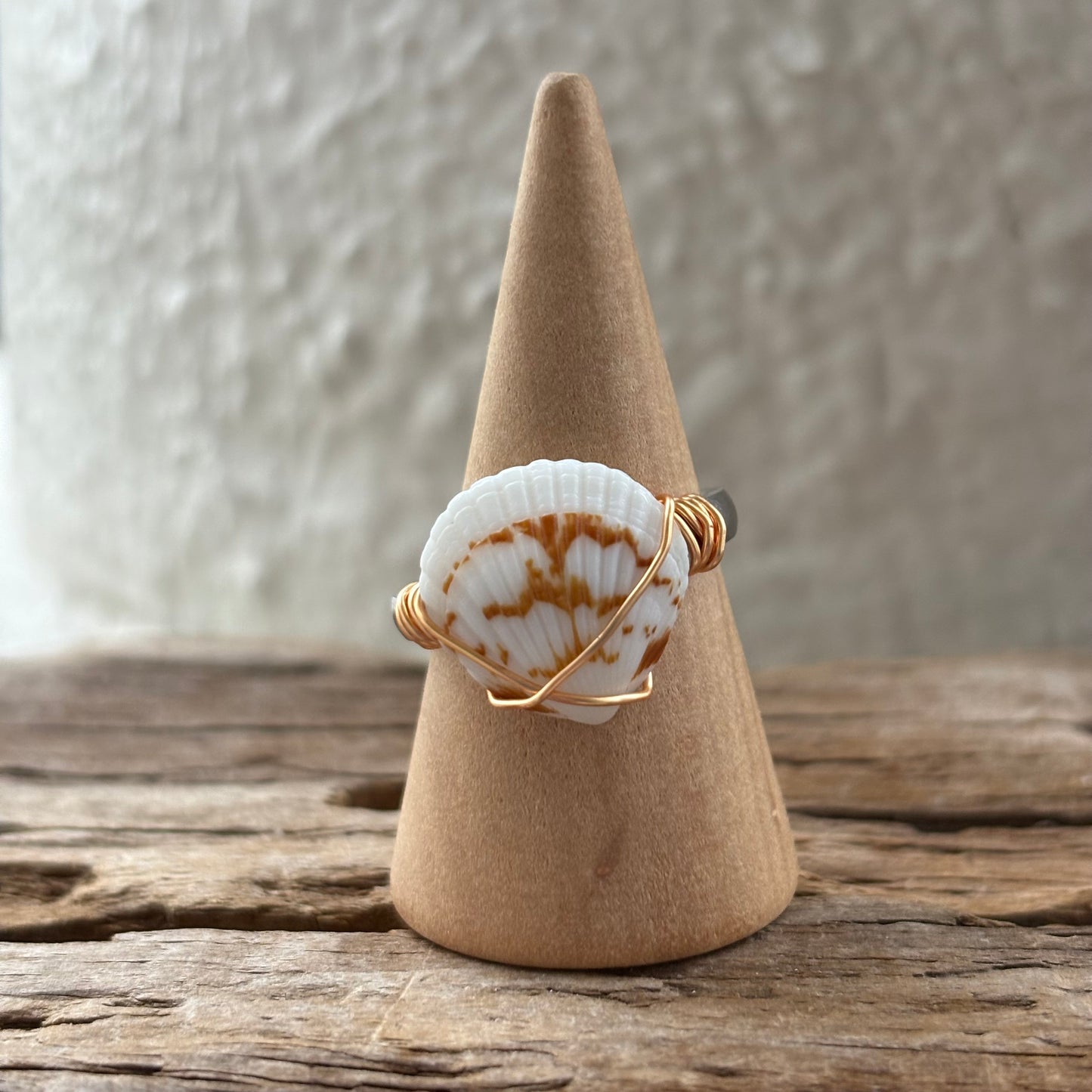 Florida Scallop Shell Ring – 18k Gold PVD Stainless Steel (Size 7)