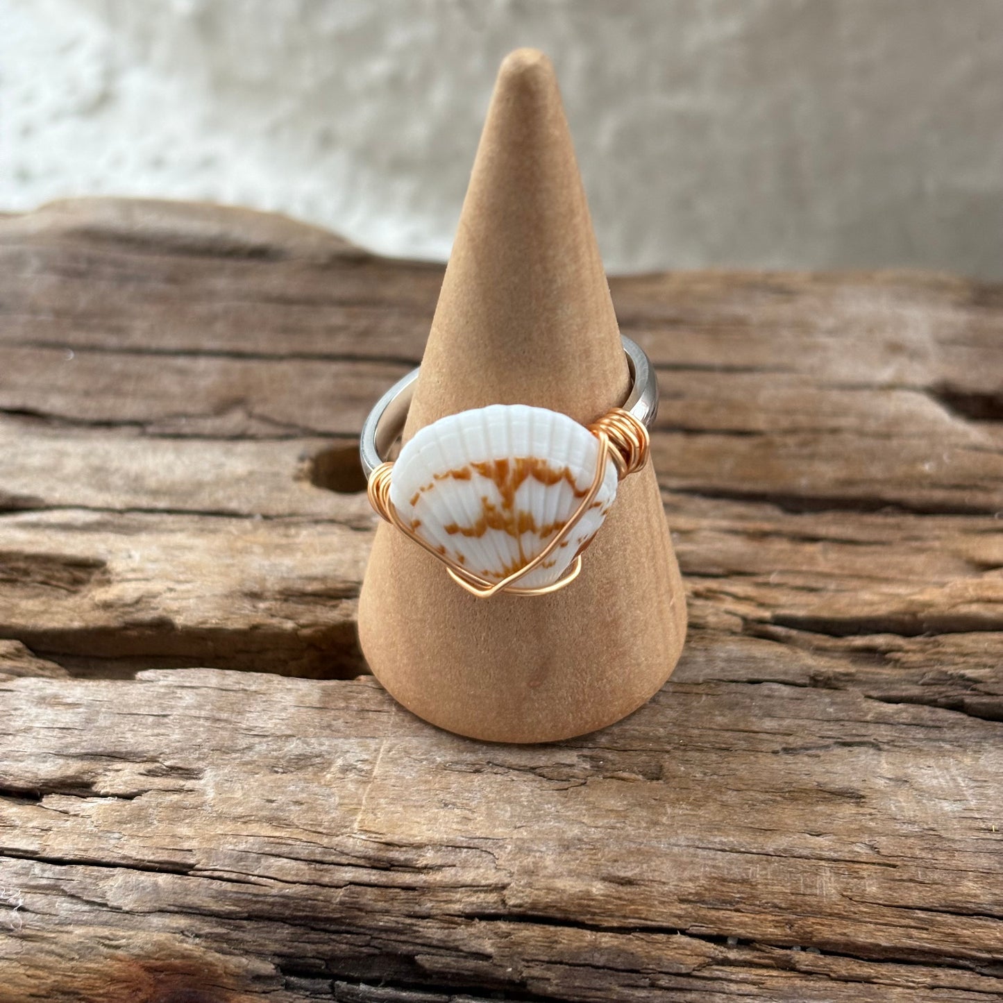 Florida Scallop Shell Ring – 18k Gold PVD Stainless Steel (Size 7)