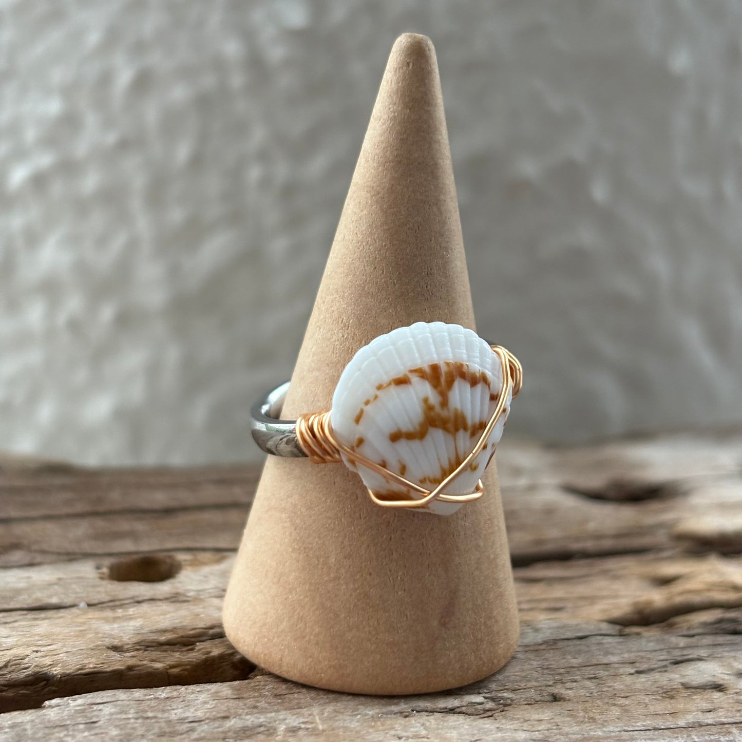 Florida Scallop Shell Ring – 18k Gold PVD Stainless Steel (Size 7)