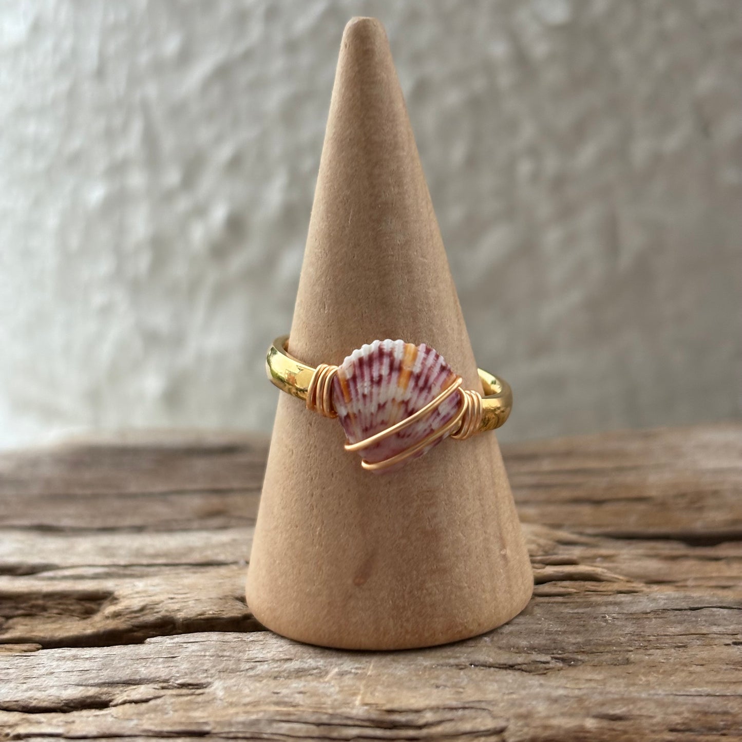 Florida Scallop Shell Ring – 18k Gold PVD Stainless Steel (Size 7.5)