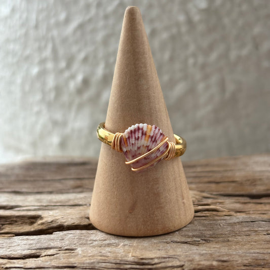 Florida Scallop Shell Ring – 18k Gold PVD Stainless Steel (Size 7.5)