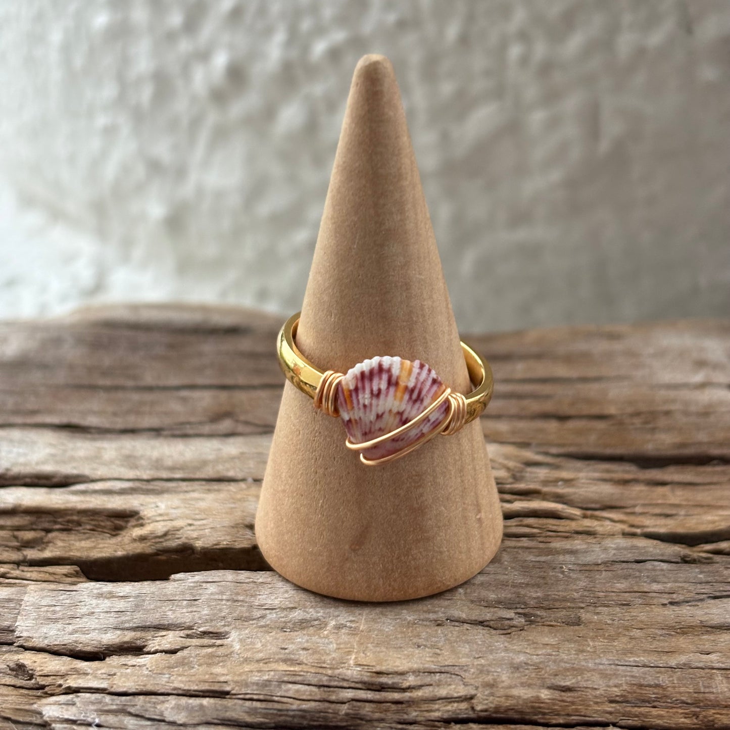 Florida Scallop Shell Ring – 18k Gold PVD Stainless Steel (Size 7.5)