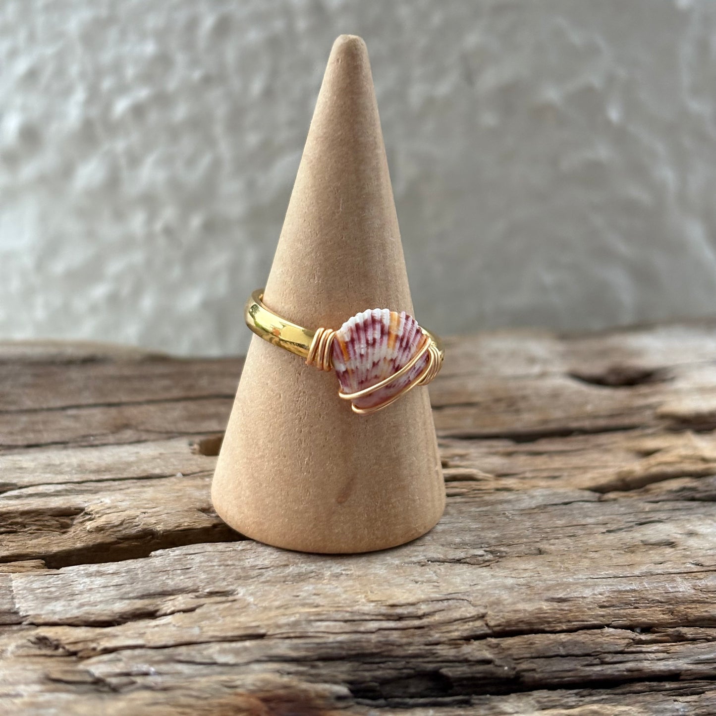 Florida Scallop Shell Ring – 18k Gold PVD Stainless Steel (Size 7.5)