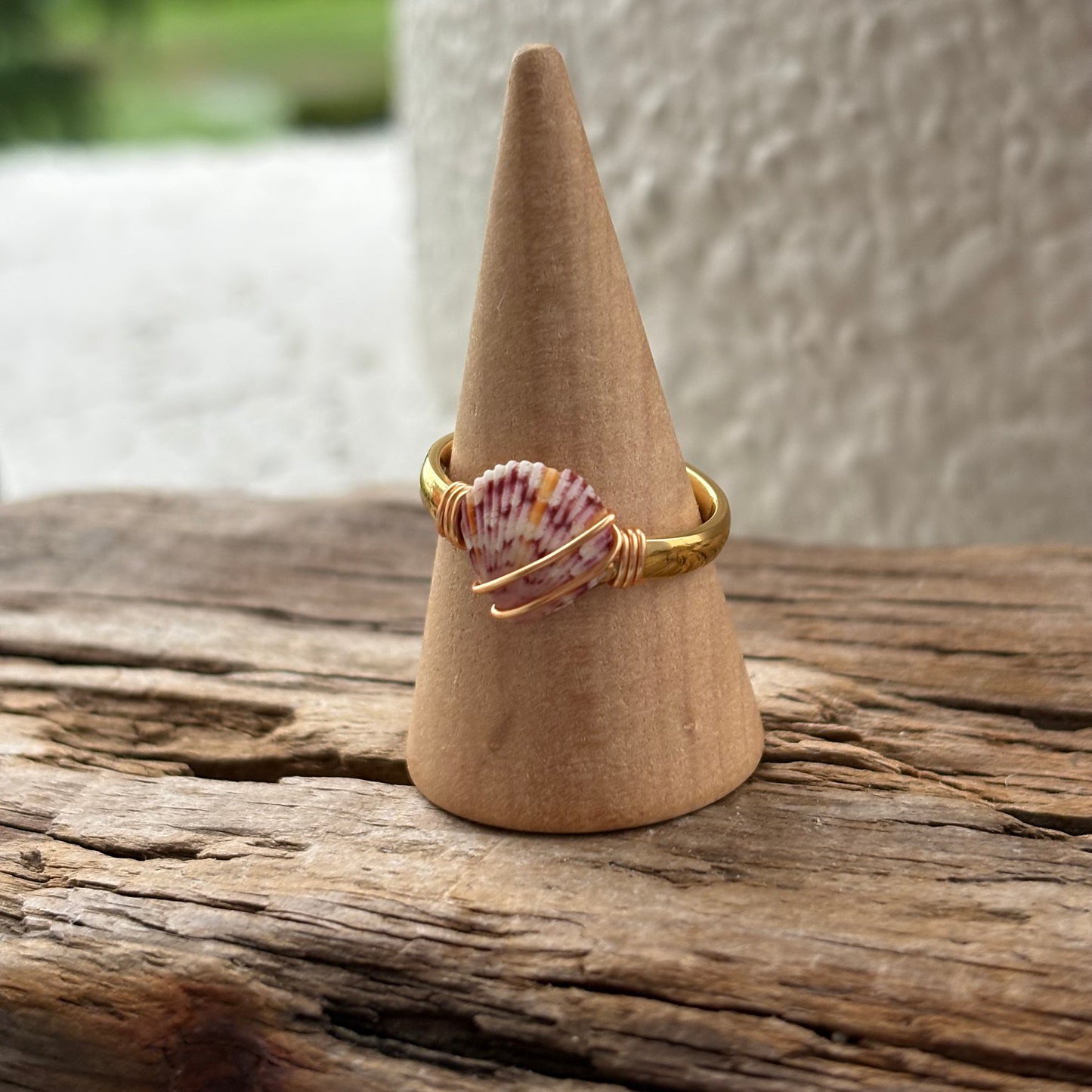 Florida Scallop Shell Ring – 18k Gold PVD Stainless Steel (Size 7.5)