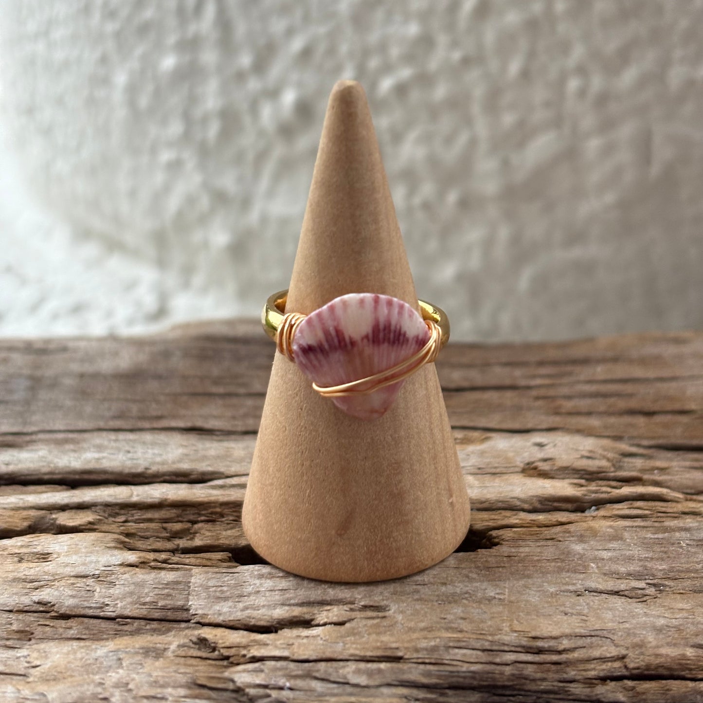 Florida Scallop Shell Ring – 18k Gold PVD Stainless Steel (Size 5)