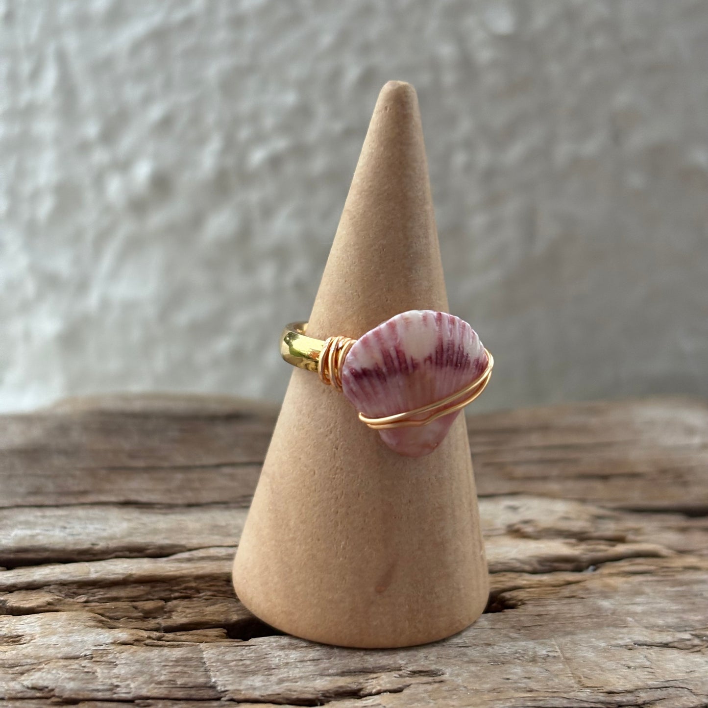 Florida Scallop Shell Ring – 18k Gold PVD Stainless Steel (Size 5)