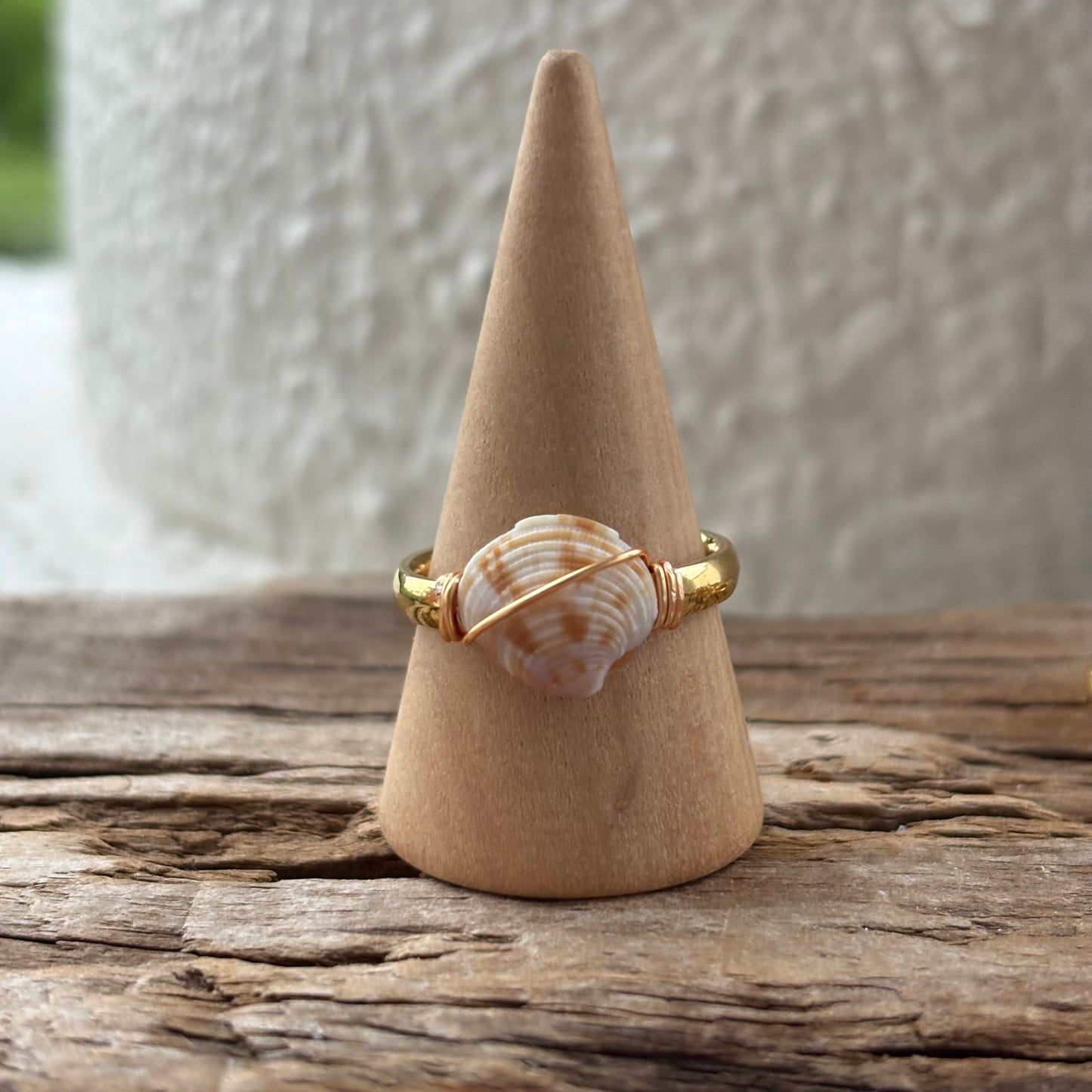 Florida Scallop Shell Ring – 18k Gold PVD Stainless Steel (Size 8.5)