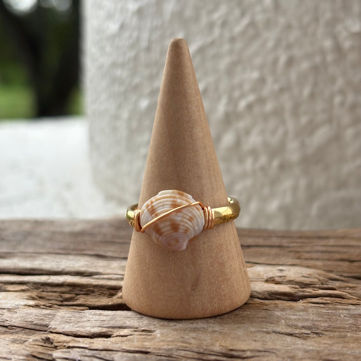 Florida Scallop Shell Ring – 18k Gold PVD Stainless Steel (Size 8.5)