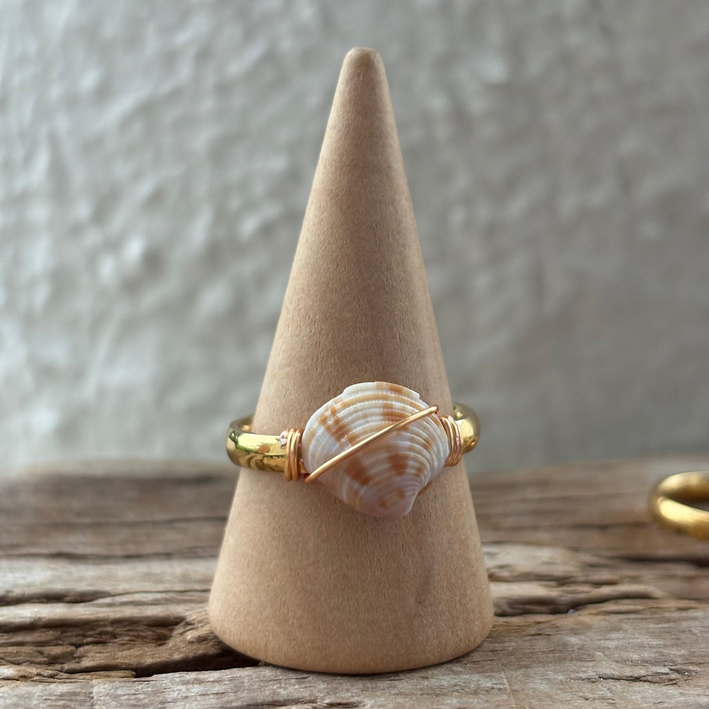 Florida Scallop Shell Ring – 18k Gold PVD Stainless Steel (Size 8.5)