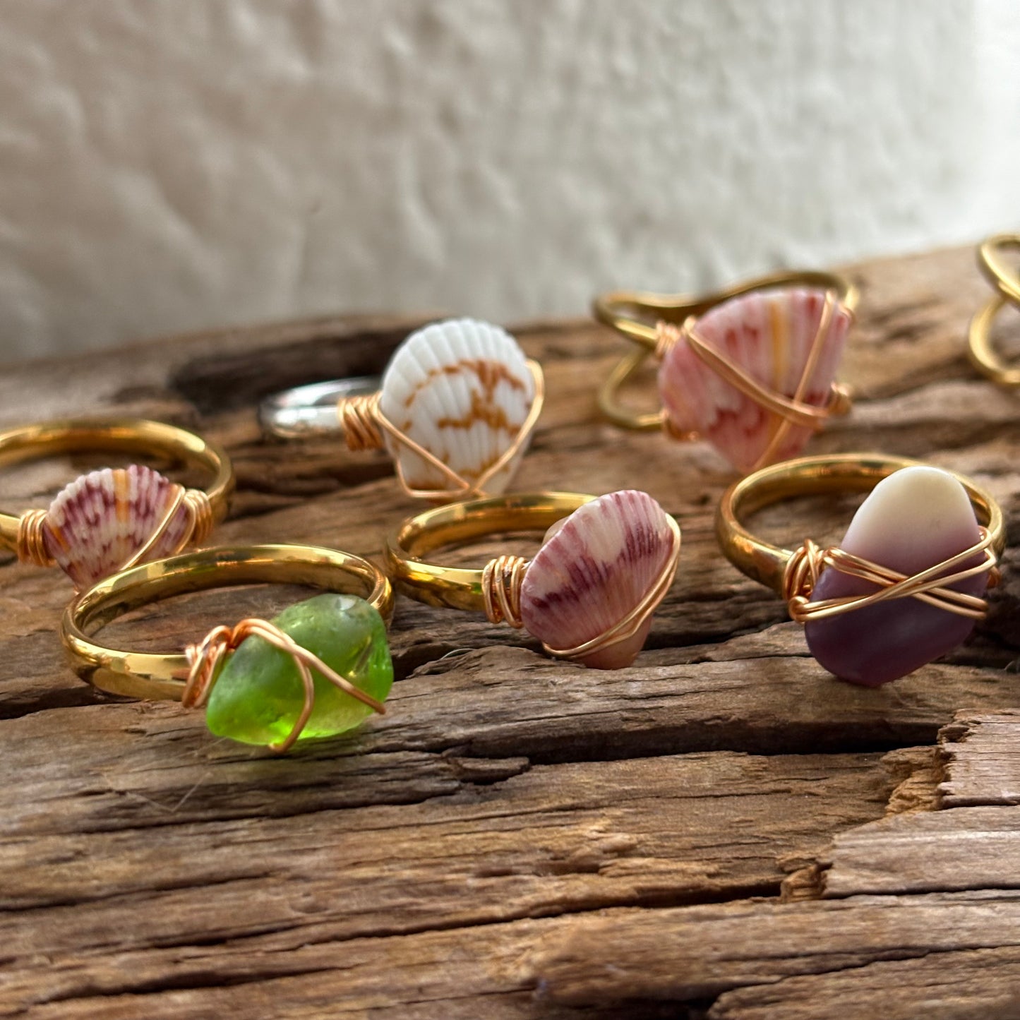 Florida Scallop Shell Ring – 18k Gold PVD Stainless Steel (Size 7)
