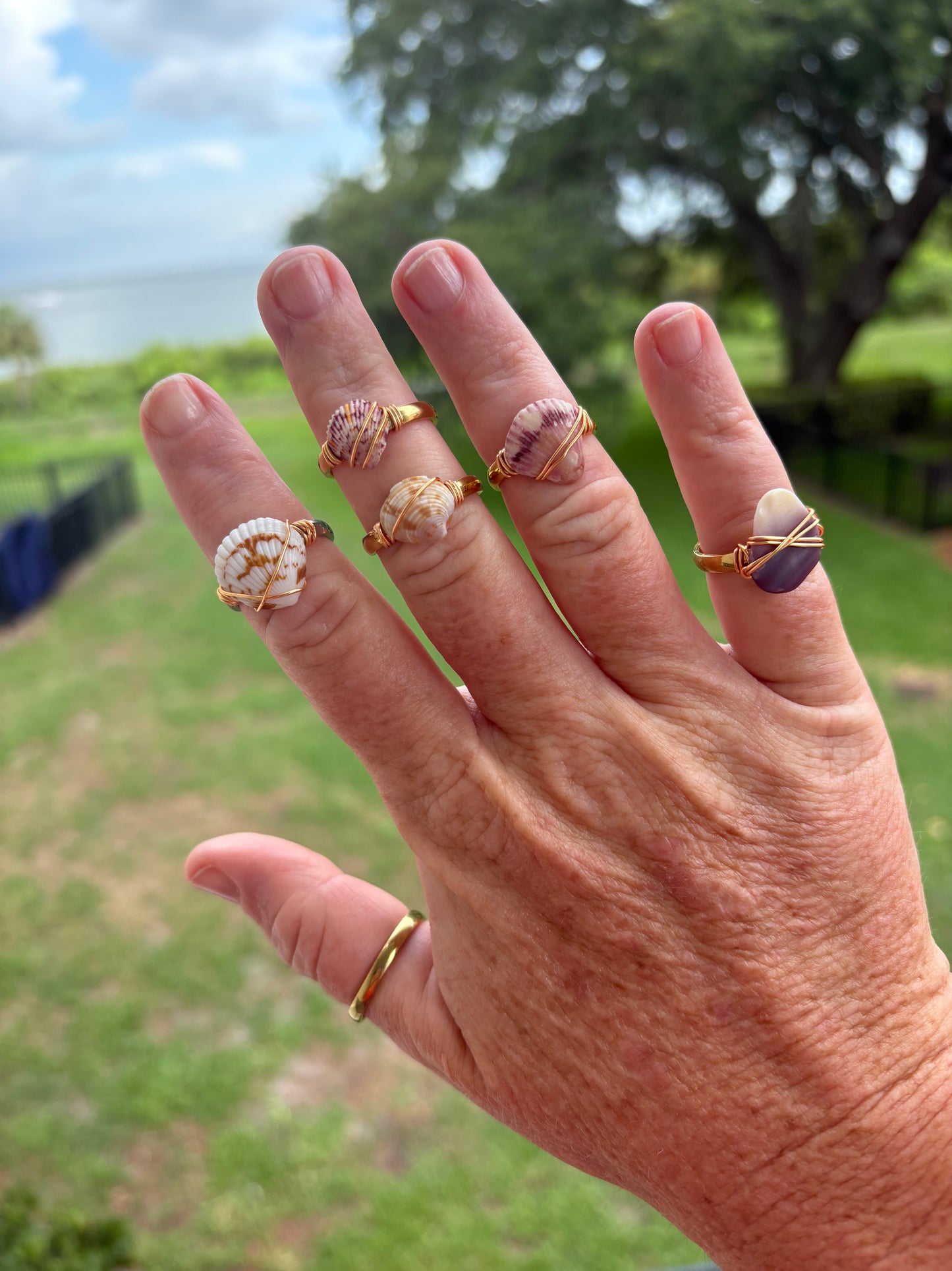 Long Island Wampum Shell Ring – 18k Gold PVD Stainless Steel (Size 6.5)